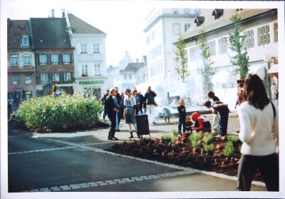 La vengeance des semis à Montbéliard