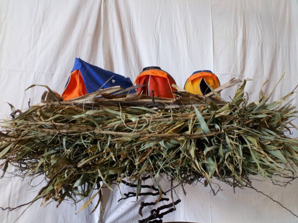 Nids Campement (Création pour Star Pilot)